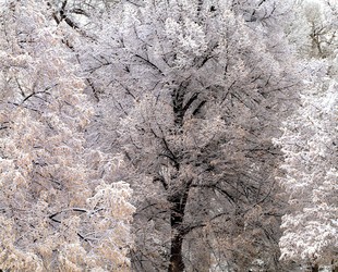 Similar image 8040070