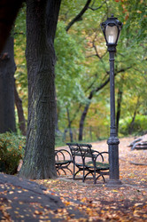 Similar image 8040079