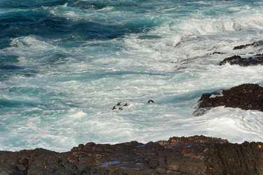 Similar image 8040083