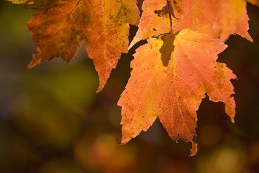 Similar image 8040084