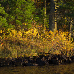 Similar image 8040085