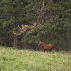 Similar image 8040088