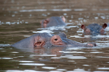 Similar image 8040090