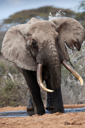 Similar image 8040093