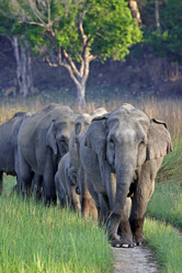 Similar image 8040094