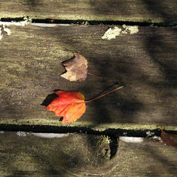 Similar image 8040100