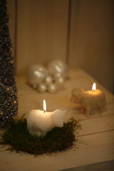 Similar image 8040102