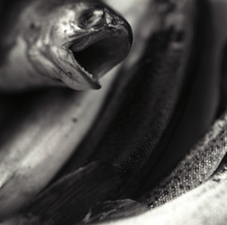 Similar image 8040106