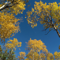 Similar image 8040109