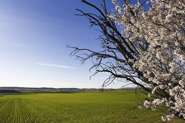 Similar image 8040121