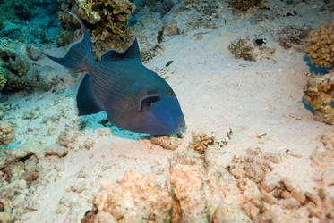 Similar image 8040132