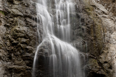 Similar image 8040135