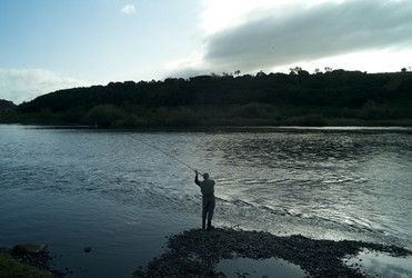 Similar image 8040142