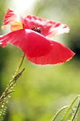 Similar image 8040161