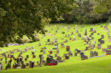 Similar image 8040170