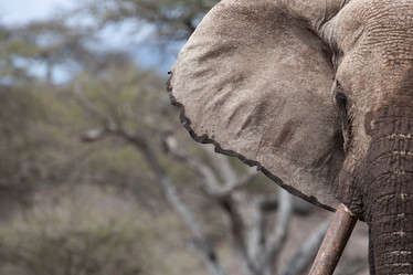 Similar image 8040177