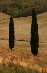 Similar image 8040178