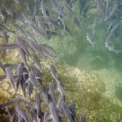 Similar image 8040189