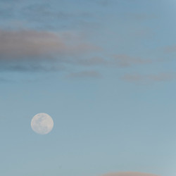 Similar image 8040199