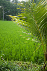 Similar image 8040206