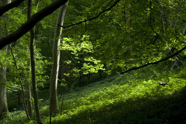 Similar image 8040208