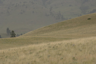 Similar image 8040213