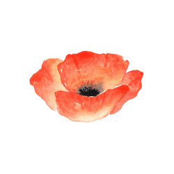 Similar image 8042585