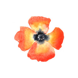 Similar image 8042587