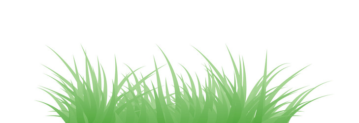 Similar image 8042634