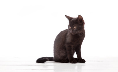 Similar image 8042645