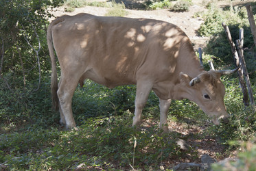 Similar image 8042797