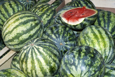 Similar image 8042886