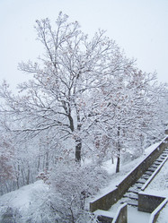 Similar image 8042906