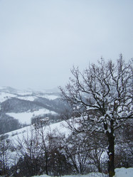 Similar image 8042908