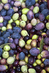 Similar image 8042918