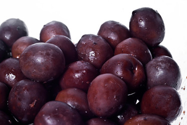 Similar image 8042921