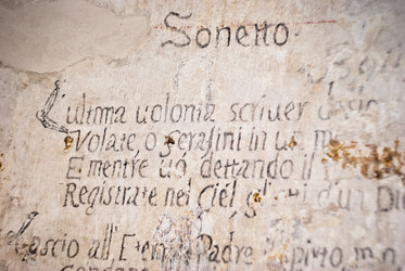 Similar image 8043395