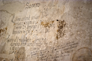 Similar image 8043408