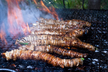 Similar image 8043474