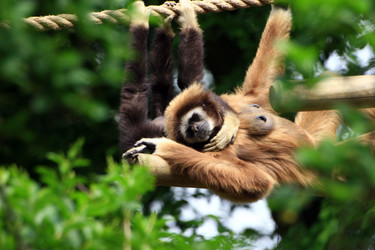 Similar image 8043656