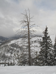 Similar image 8043667