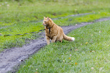 Similar image 8043672