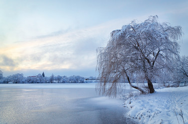 Similar image 8043674