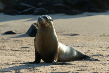 Similar image 8043756