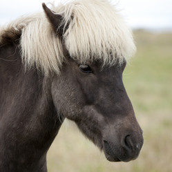 Similar image 8043760