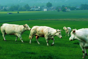 Similar image 8043766