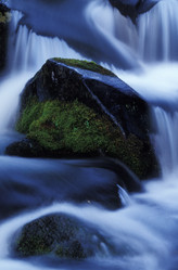 Similar image 8043773