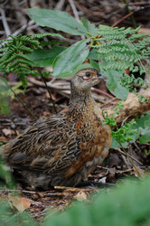 Similar image 8043775