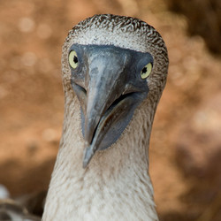 Similar image 8043792