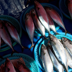 Similar image 8043801